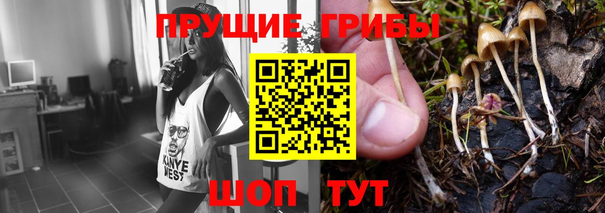 Галлюциногенные грибы мицелий Миасс